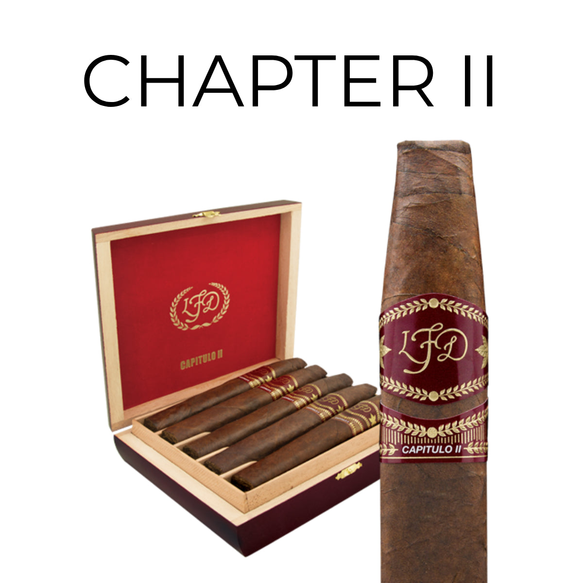 LFD Capitulo II / Chapter II