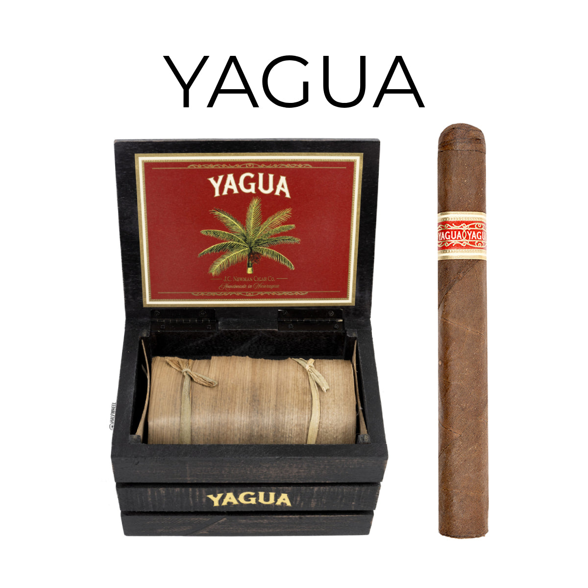 Yagua by J.C. Newman